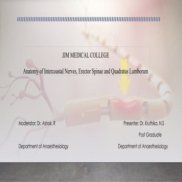 ppt on intercoastal nerves.pptx 6 no fe hi du