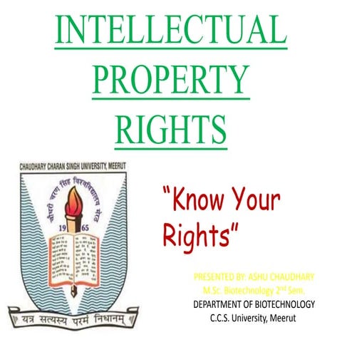 Intellectual Property rights
