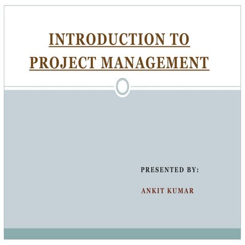 project management