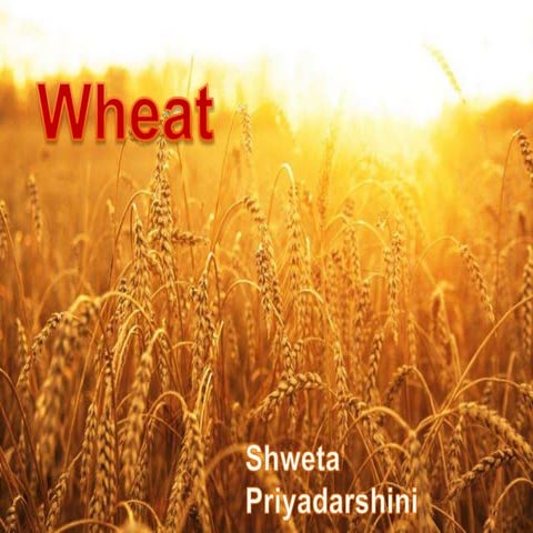 Wheat and its byproducts - Health benefits and application in food industry 