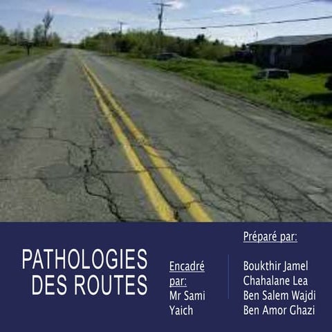 Pathologie des routes, types de pathologies, causes probables et ...