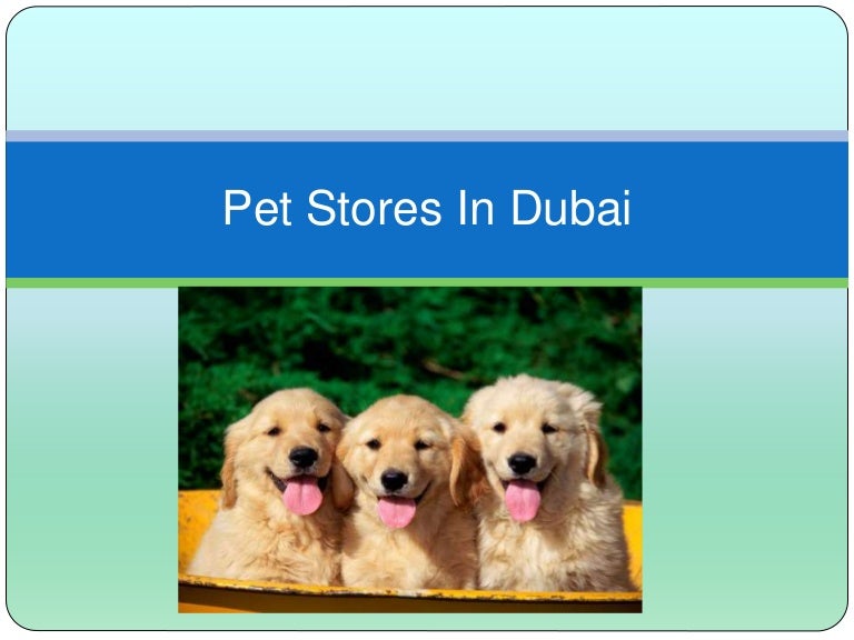Pet stores in dubai