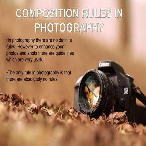 Photography Composition Rules
