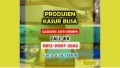 CALL WA 0812-99078-2665 Jual Kasur Busa Inoac Royal Central di Kubu Raya 7 pptpkl 210928122607 thumbnail 2