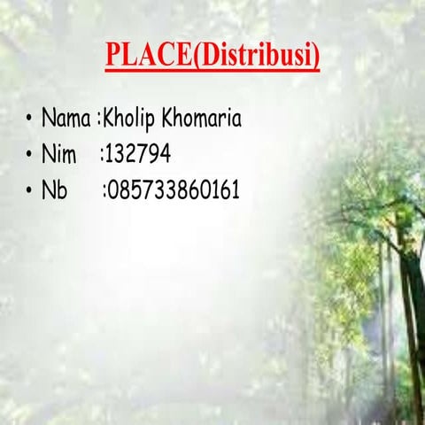Ppt place(distribusi)