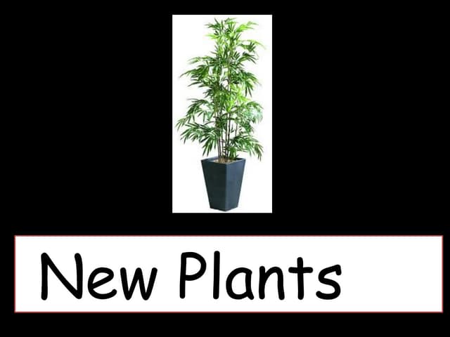 ppt_plant_book.pptx publish new plants ppt
