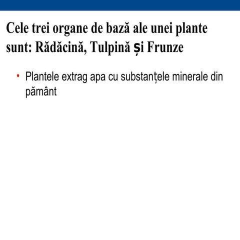 Ppt plante