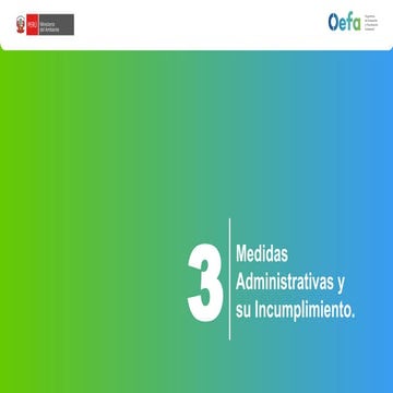 PPT plantilla OEFA externo 28 (1) DISPOSITIVA SOBRE LA DISS DEL OEFA | PPTX