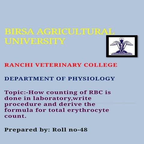 RBC count and WBC count | PPTX