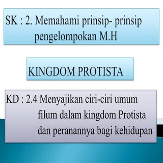 Ppt protista mirip hewan