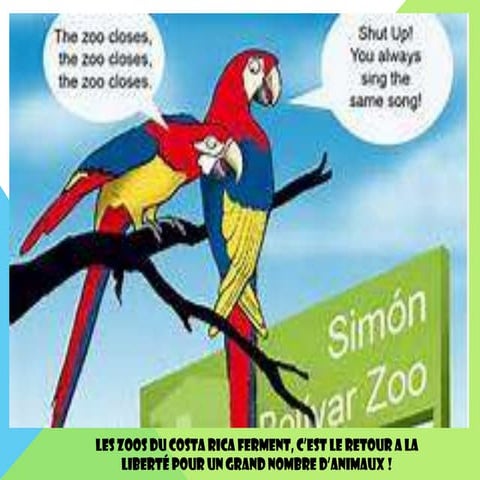 Libération des animaux au Costa Rica | PPT