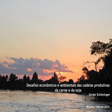 "Desafios Econômicos e Ambientais das Cadeias Produtivas da Carne e da Soja"
