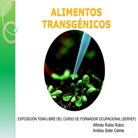 Alimentos transgénicos