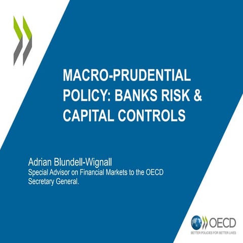 2014.06.13 - NAEC EDRC Seminar_Macroprudential policy: Banks risk & Capital C...