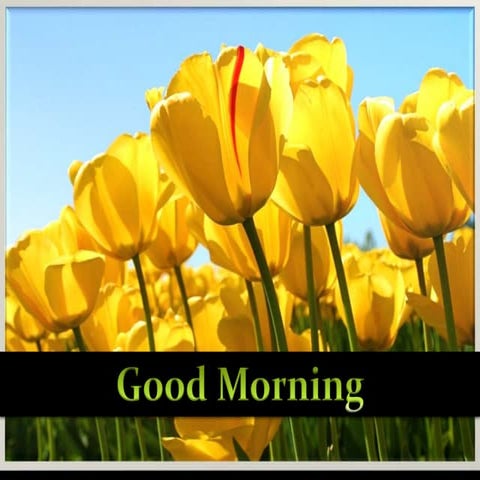 Ppt show on trigonometry