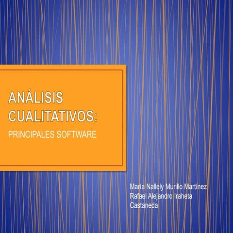 SOFTWARE, ANÁLISIS CUALITATIVO