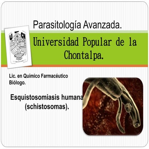 Ppt schistosomiasis