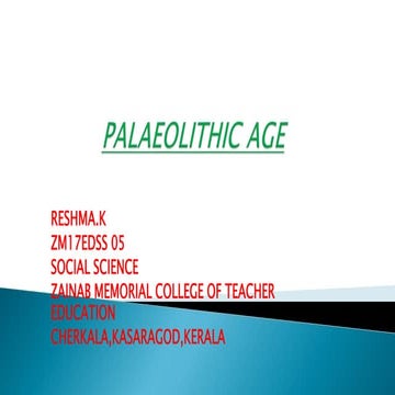 palaeolithic age