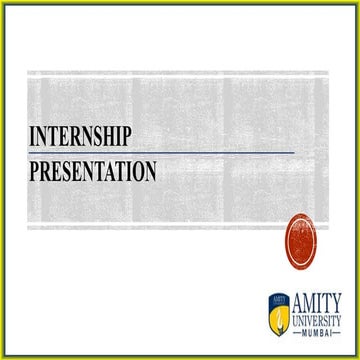  summer internship project