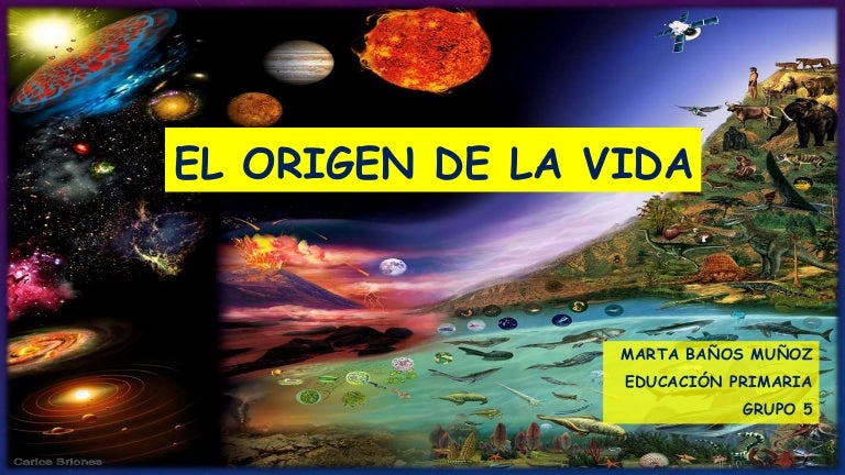 El origen de la vida