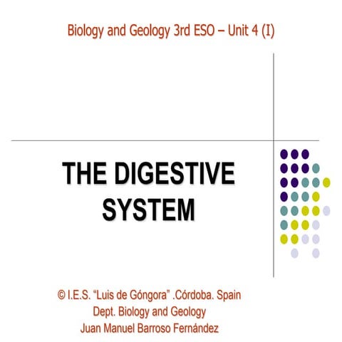 Ppt  the digestive system jmbf