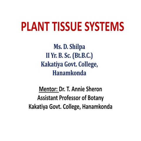 Plant tissue systems