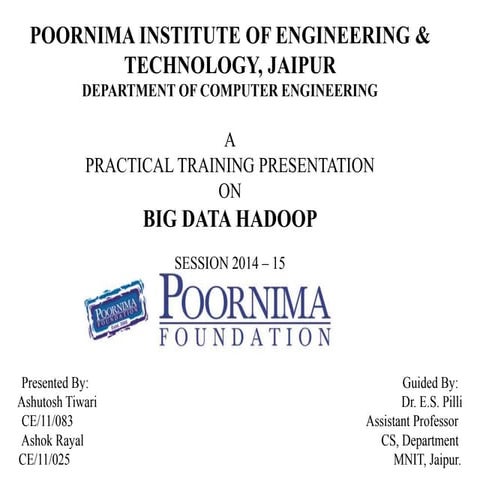 Presentation on Big Data Hadoop (Summer Training Demo)
