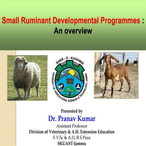 Small Ruminant Developmental programmes- An overview
