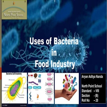 Usage of Bacteria in food industries | PDF