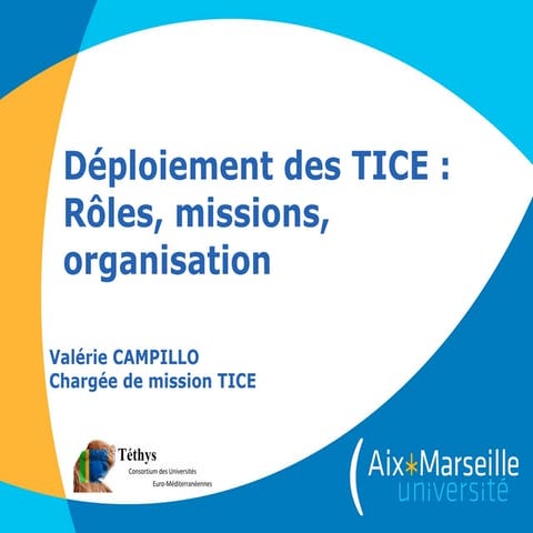 TICE : Roles, missions, organisation ... | PPT