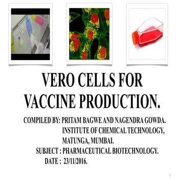 Vero cells for vaccine production