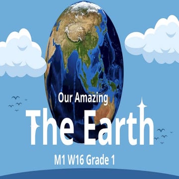 PPT W16 M2 Science Grade 1 Practice Material | PPTX