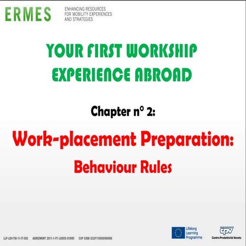 Work Placement Training Preparation | PPTX