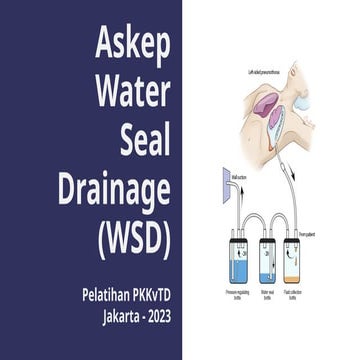Wsd | PPTX