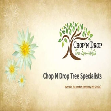 Essential Guide to Tree Removal: What Every Homeowner Should Know | PDF