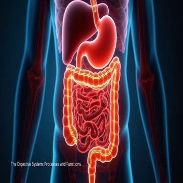 Thw human digestive system and how it works. | PPTX