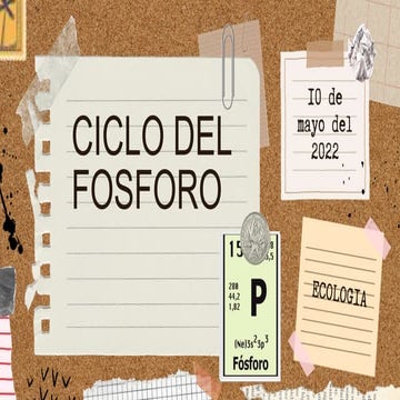 Ciclodelfosforo.pptx