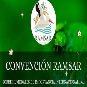 Convencion Ramsar (convenio Ramsar humedales y su importancia) | PPTX