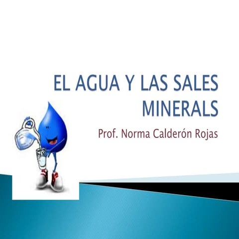 El agua y las sales minerales