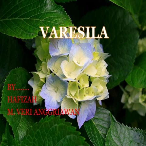 Comprehensive Overview of Varicella (Chickenpox): Etiology, Diagnosis ...