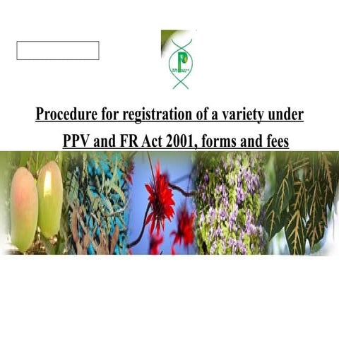 Ppvfr act 2001 | PPT