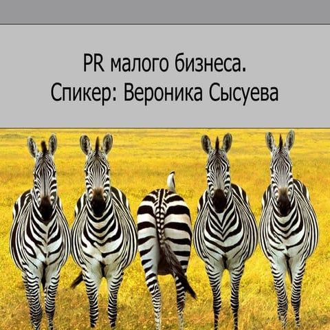 Pr малого бизнеса