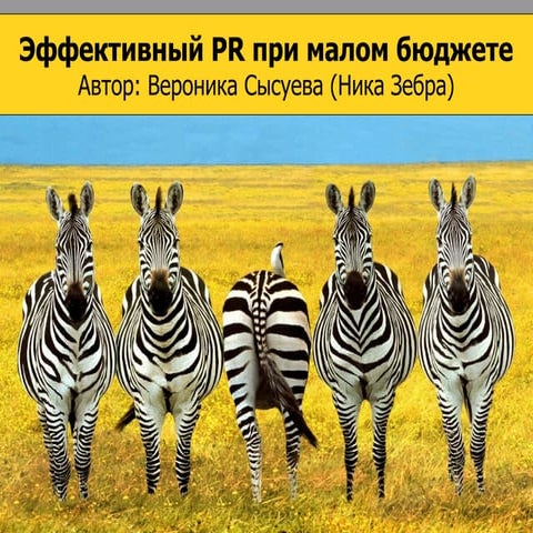 эффективный Pr при небольшом бюджете