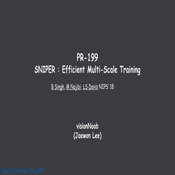 PR-199: SNIPER:Efficient Multi Scale Training