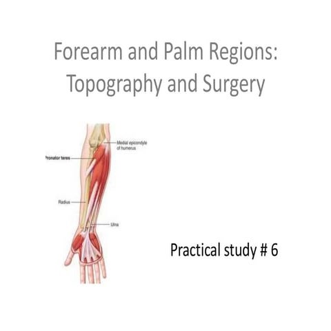 Spaces of Hand and Forearm | PPTX