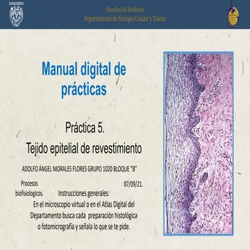 Practica-1-Tejido-Epitelal-de-RevestiNMBMNBKBNMNBKMBMNmiento-.pdf