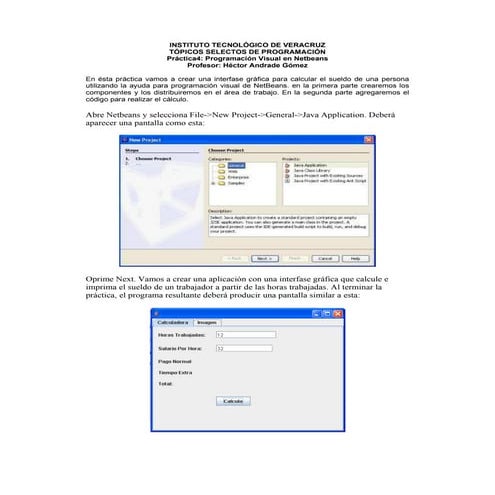 Guía de Netbeans | PDF