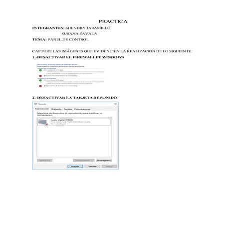 Practica DE INFORMATICA