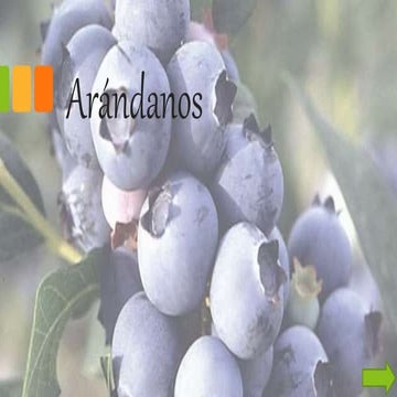 Practica laboratorio n° 10