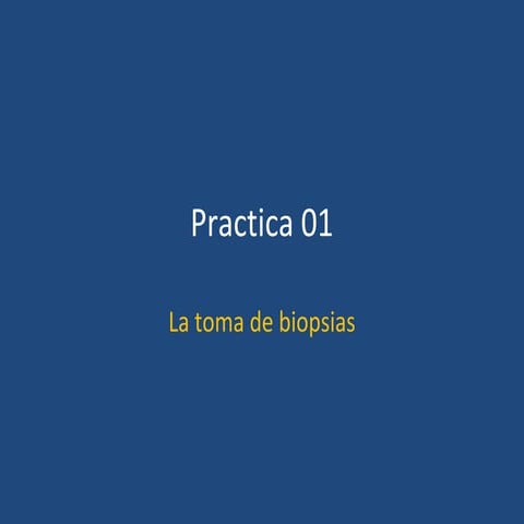 tipos de biopsias 